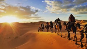 Sahara Desert Sunrise Camp Experience – 3 – Copy – Copy