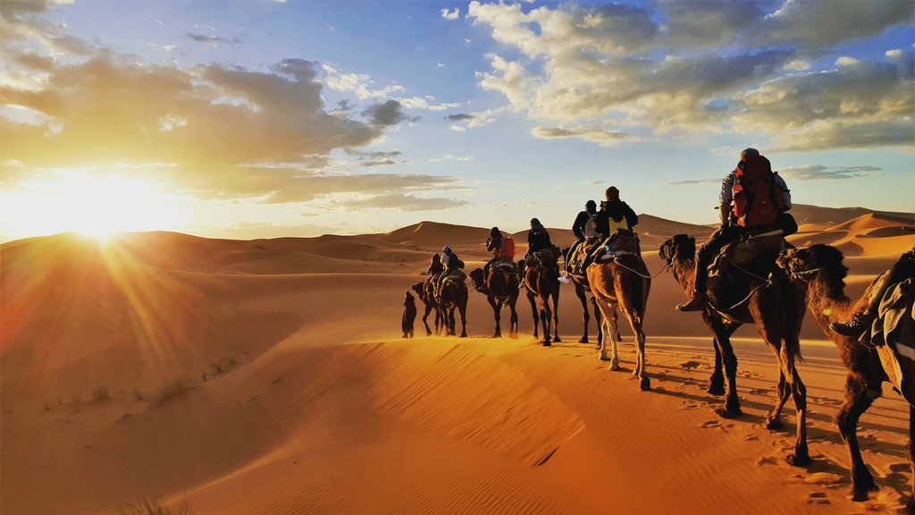 Sahara Desert Sunrise Camp Experience – 3 – Copy – Copy